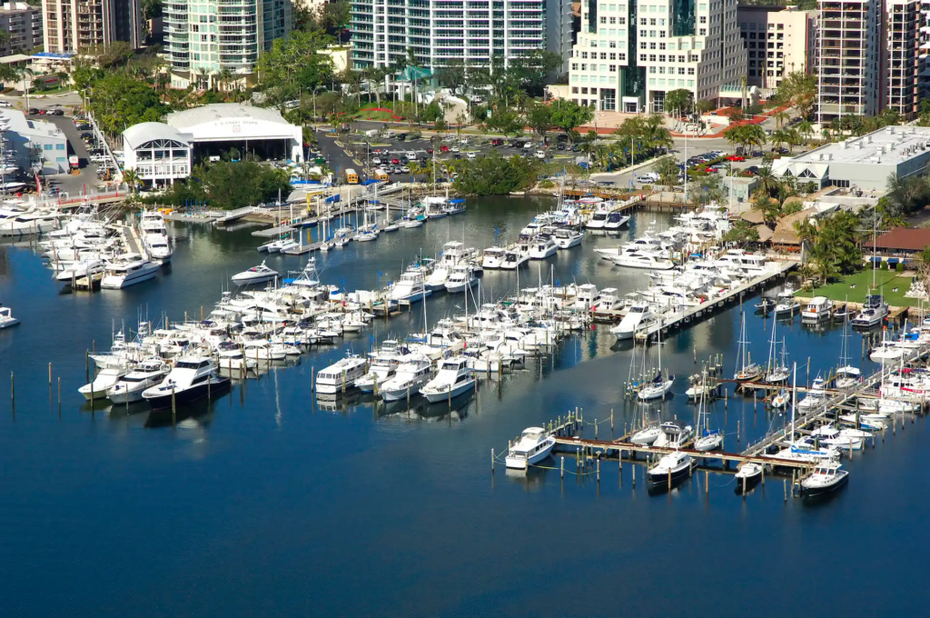 Coconut Grove Test Rides Featured and BG